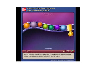 Please note that due to differing operating systems, some animations will not appear until the presentation is viewed in Presentation Mode (Slide Show view). You may see blank slides in the “Normal” or “Slide Sorter” views. All animations will appear after viewing in Presentation Mode and playing each animation. Most animations will require the latest version of the Flash Player, which is available at http://get.adobe.com/flashplayer. 