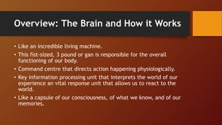 Overview: The Brain and How it Works
• Like an incredible living machine.
• This fist-sized, 3 pound or gan is responsible for the overall
functioning of our body.
• Command centre that directs action happening physiologically.
• Key information processing unit that interprets the world of our
experience an vital response unit that allows us to react to the
world.
• Like a capsule of our consciousness, of what we know, and of our
memories.
 