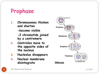 Chapter 7 The cell cycle.ppt