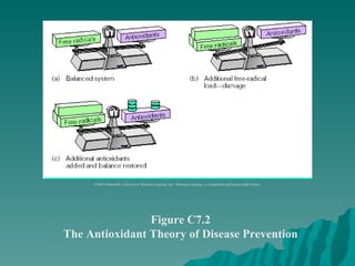 Figure C7.2 The Antioxidant Theory of Disease Prevention ©2003 Wadsworth, a division of Thomson Learning, Inc.  Thomson Learning ™  is a trademark used herein under license. 