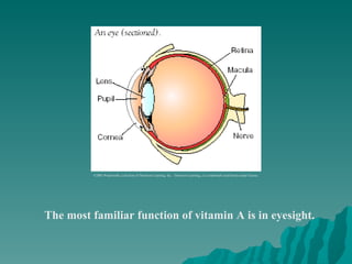 The most familiar function of vitamin A is in eyesight. ©2003 Wadsworth, a division of Thomson Learning, Inc.  Thomson Learning ™  is a trademark used herein under license. 