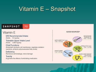 Vitamin E – Snapshot  