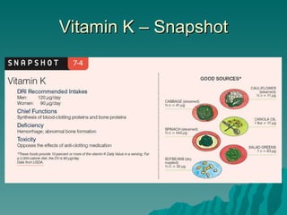 Vitamin K – Snapshot 