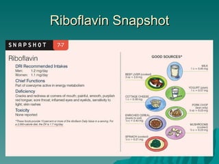 Riboflavin Snapshot 