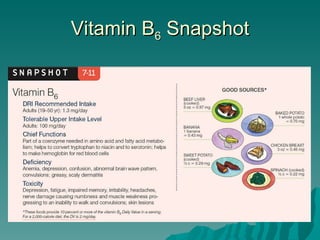 Vitamin B 6  Snapshot 