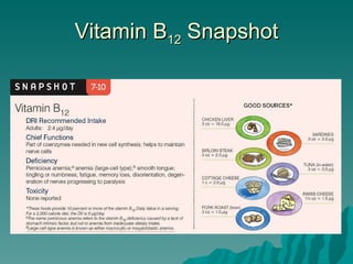 Vitamin B 12  Snapshot 