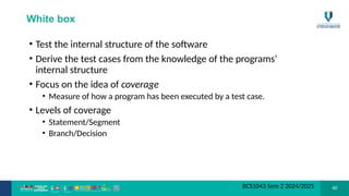 Basic Verification and validation in Software Engineering | PPTX