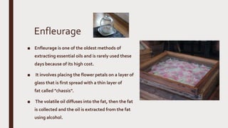 Enfleurage
■ Enfleurage is one of the oldest methods of
extracting essential oils and is rarely used these
days because of its high cost.
■ It involves placing the flower petals on a layer of
glass that is first spread with a thin layer of
fat called "chassis".
■ The volatile oil diffuses into the fat, then the fat
is collected and the oil is extracted from the fat
using alcohol.
 