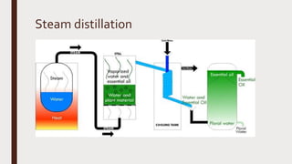 Steam distillation
 