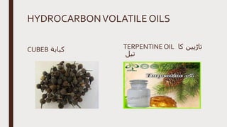 HYDROCARBONVOLATILE OILS
CUBEB ‫كبابة‬ TERPENTINE OIL ‫کا‬ ‫تاڑپین‬
‫تیل‬
 