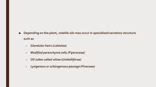 ■ Depending on the plant, volatile oils may occur in specialized secretory structure
such as
– Glandular hairs (Labiatae)
– Modified parenchyma cells (Piperaceae)
– Oil-tubes called vittae (Umbelliferae)
– Lysigenous or schizogenous passage (Pinaceae)
 