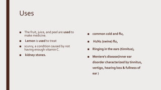 Uses
■ The fruit, juice, and peel are used to
make medicine.
■ Lemon is used to treat
■ scurvy, a condition caused by not
having enough vitamin C.
■ kidney stones.
■ common cold and flu,
■ H1N1 (swine) flu,
■ Ringing in the ears (tinnitus),
■ Meniere's disease(inner ear
disorder characterized by tinnitus,
vertigo, hearing loss & fullness of
ear )
 