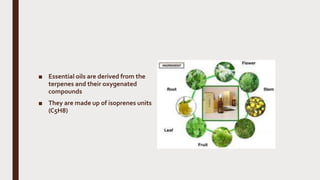 ■ Essential oils are derived from the
terpenes and their oxygenated
compounds
■ They are made up of isoprenes units
(C5H8)
 