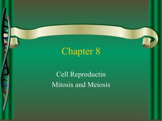 Chapter 8 Cell Reproductin Mitosis and Meiosis 