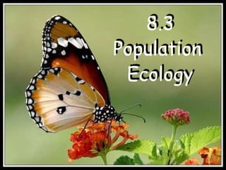 8.3 Population  Ecology 8.3 Population  Ecology 