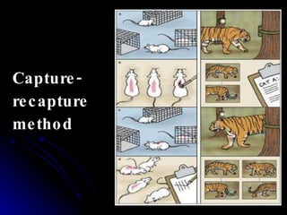 Chapter 8.3 presentation | PPT
