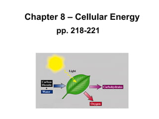 Chapter 8 – Cellular Energy pp. 218-221 