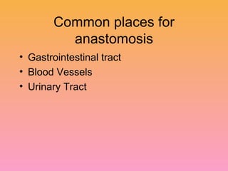 Common places for anastomosis Gastrointestinal tract Blood Vessels Urinary Tract 
