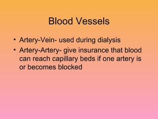 Blood Vessels Artery-Vein- used during dialysis Artery-Artery- give insurance that blood can reach capillary beds if one artery is or becomes blocked 