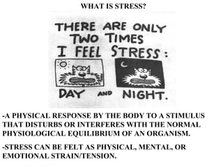 WHAT IS STRESS? -A PHYSICAL RESPONSE BY THE BODY TO A STIMULUS THAT DISTURBS OR INTERFERES WITH THE NORMAL PHYSIOLOGICAL EQUILIBRIUM OF AN ORGANISM. -STRESS CAN BE FELT AS PHYSICAL, MENTAL, OR EMOTIONAL STRAIN/TENSION. 