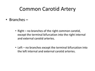Common Carotid Artery
• Branches –

     • Right – no branches of the right common carotid,
       except the terminal bifurcation into the right internal
       and external carotid arteries.

     • Left – no branches except the terminal bifurcation into
       the left internal and external carotid arteries.
 
