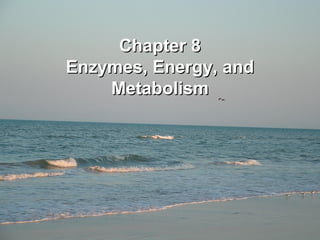 Chapter 8
Enzymes, Energy, and
    Metabolism
 