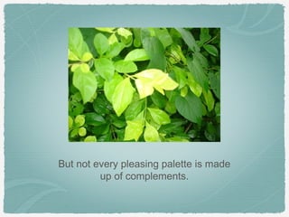 But not every pleasing palette is made
         up of complements.
 