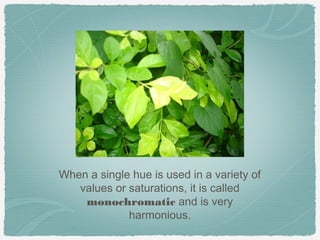When a single hue is used in a variety of
   values or saturations, it is called
    monochromatic and is very
             harmonious.
 