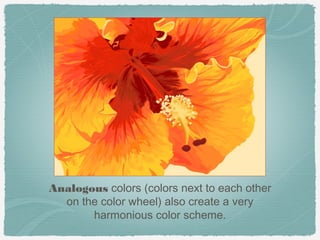 Analogous colors (colors next to each other
  on the color wheel) also create a very
       harmonious color scheme.
 