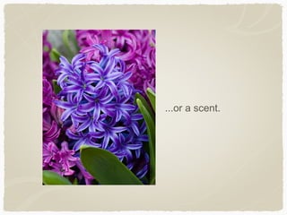 ...or a scent.
 