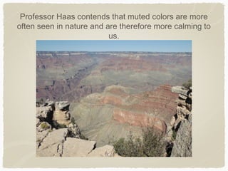 Professor Haas contends that muted colors are more
often seen in nature and are therefore more calming to
                          us.
 