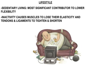 LIFESTYLE
-SEDENTARY LIVING: MOST SIGNIFICANT CONTRIBUTOR TO LOWER
FLEXIBILITY
-INACTIVITY CAUSES MUSCLES TO LOSE THEIR ELASTICITY AND
TENDONS & LIGAMENTS TO TIGHTEN & SHORTEN
 