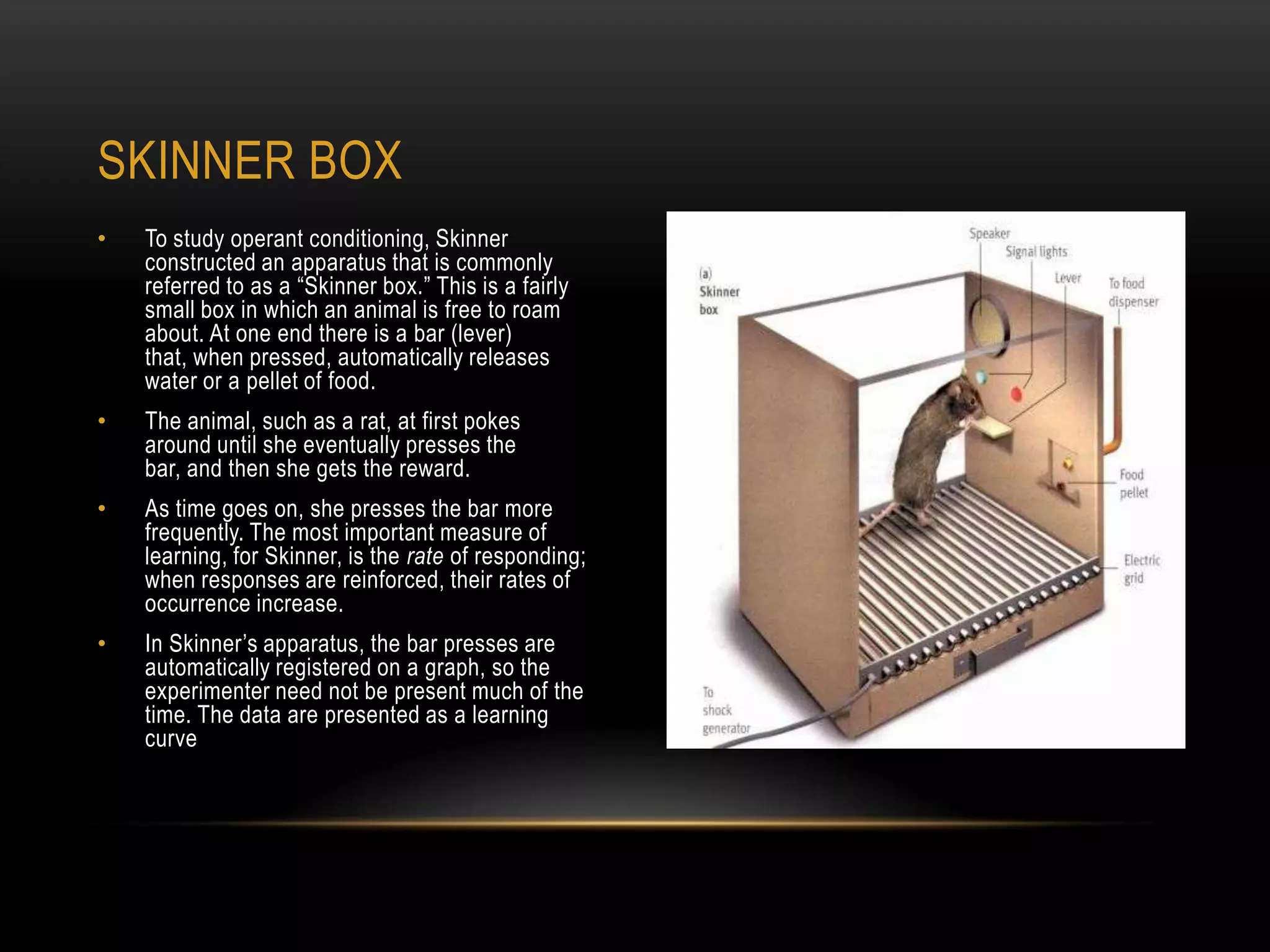 • To study operant conditioning, Skinner
constructed an apparatus that is commonly
referred to as a ―Skinner box.‖ This is a fairly
small box in which an animal is free to roam
about. At one end there is a bar (lever)
that, when pressed, automatically releases
water or a pellet of food.
• The animal, such as a rat, at first pokes
around until she eventually presses the
bar, and then she gets the reward.
• As time goes on, she presses the bar more
frequently. The most important measure of
learning, for Skinner, is the rate of responding;
when responses are reinforced, their rates of
occurrence increase.
• In Skinner‘s apparatus, the bar presses are
automatically registered on a graph, so the
experimenter need not be present much of the
time. The data are presented as a learning
curve
SKINNER BOX
 
