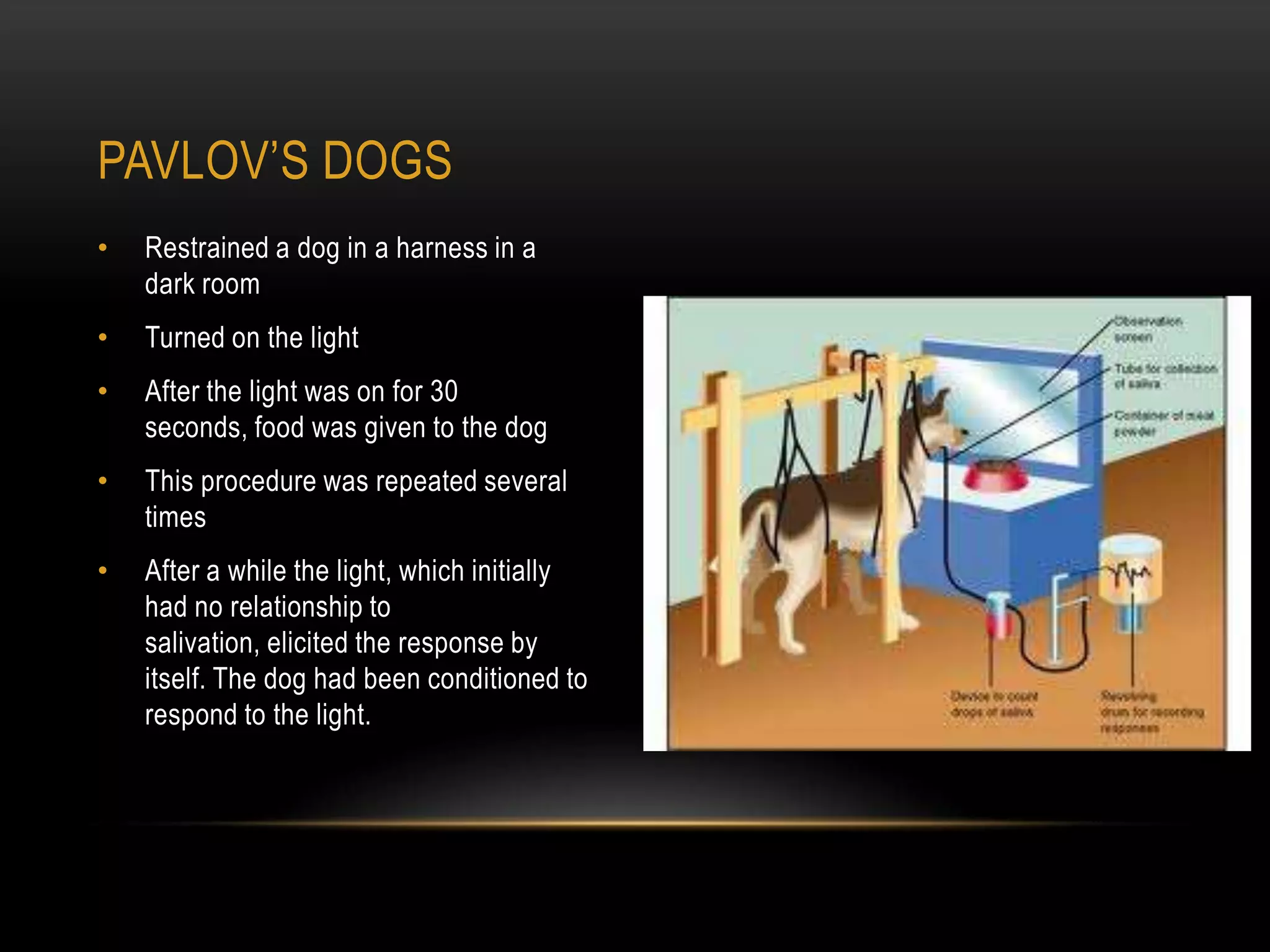 • Restrained a dog in a harness in a
dark room
• Turned on the light
• After the light was on for 30
seconds, food was given to the dog
• This procedure was repeated several
times
• After a while the light, which initially
had no relationship to
salivation, elicited the response by
itself. The dog had been conditioned to
respond to the light.
PAVLOV‘S DOGS
 