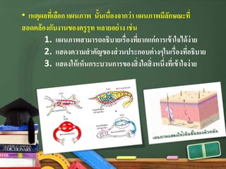 • เหตุผลที่เลือก แผนภาพ นั้นเนื่องจากว่า แผนภาพมีลักษณะที่
สอดคล้องกับงานของครูรุท หลายอย่าง เช่น
1. แผนภาพสามารถอธิบายเรื่องที่ยากแก่การเข้าใจได้ง่าย
2. แสดงความสําคัญของส่วนประกอบต่างๆในเรื่องที่อธิบาย
3. แสดงให้เห็นกระบวนการของสิ่งใดสิ่งหนึ่งที่เข้าใจง่าย
 