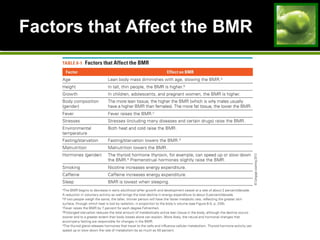Factors that Affect the BMRFactors that Affect the BMR
 