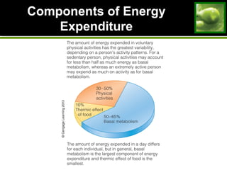 Components of Energy
Expenditure
 
