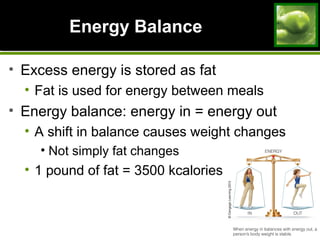Energy BalanceEnergy Balance
• Excess energy is stored as fat
• Fat is used for energy between meals
• Energy balance: energy in = energy out
• A shift in balance causes weight changes
• Not simply fat changes
• 1 pound of fat = 3500 kcalories
 