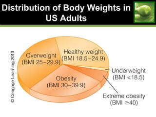 Distribution of Body Weights inDistribution of Body Weights in
US AdultsUS Adults
 
