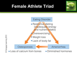 Female Athlete TriadFemale Athlete Triad
 
