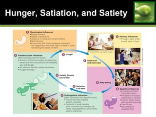 Hunger, Satiation, and SatietyHunger, Satiation, and Satiety
 