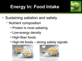 Energy In: Food IntakeEnergy In: Food Intake
• Sustaining satiation and satiety
• Nutrient composition
• Protein is most satiating
• Low-energy density
• High-fiber foods
• High-fat foods – strong satiety signals
 
