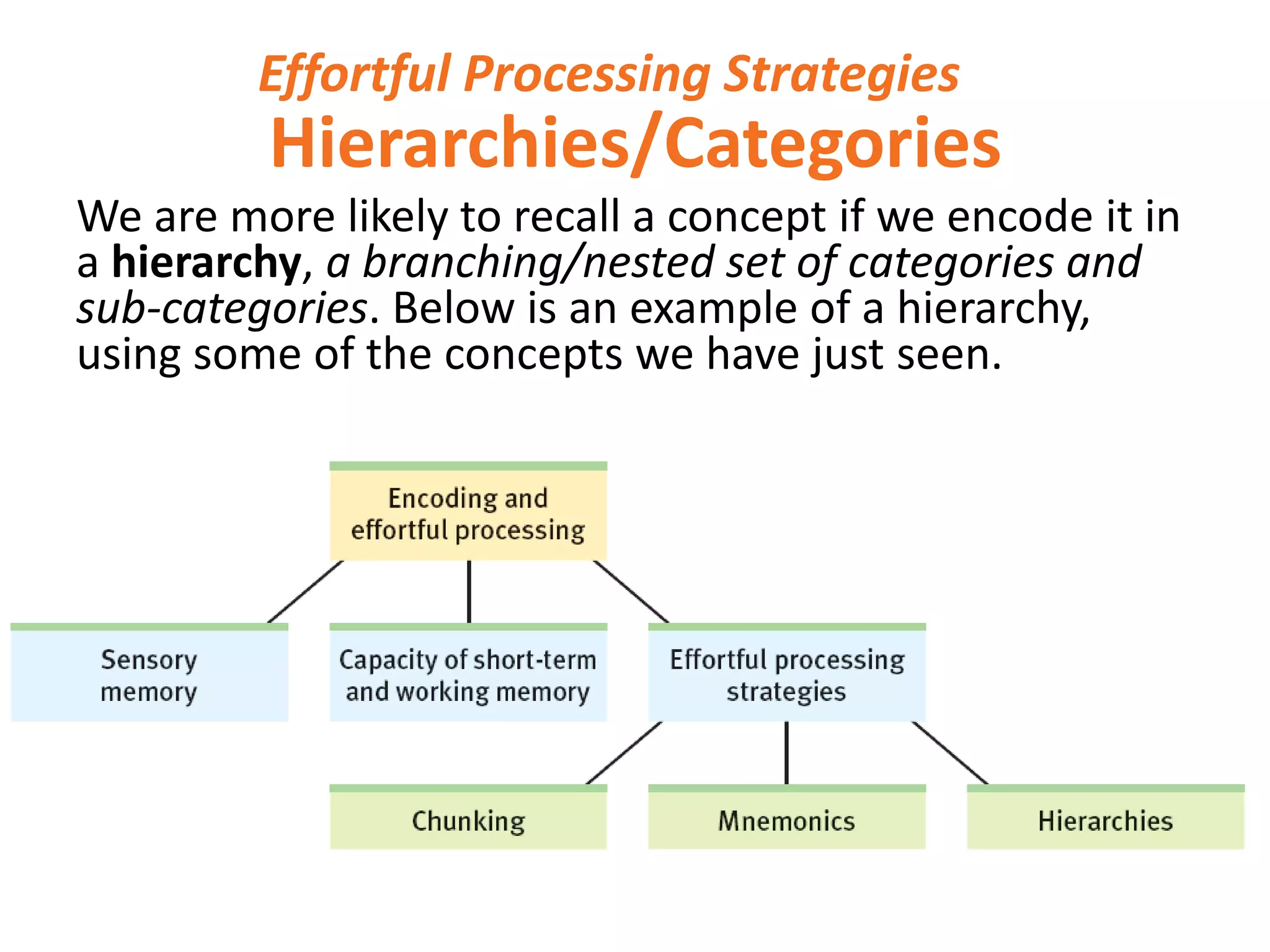 Effortful Processing Strategies

Hierarchies/Categories
We are more likely to recall a concept if we encode it in
a hierarchy, a branching/nested set of categories and
sub-categories. Below is an example of a hierarchy,
using some of the concepts we have just seen.

 
