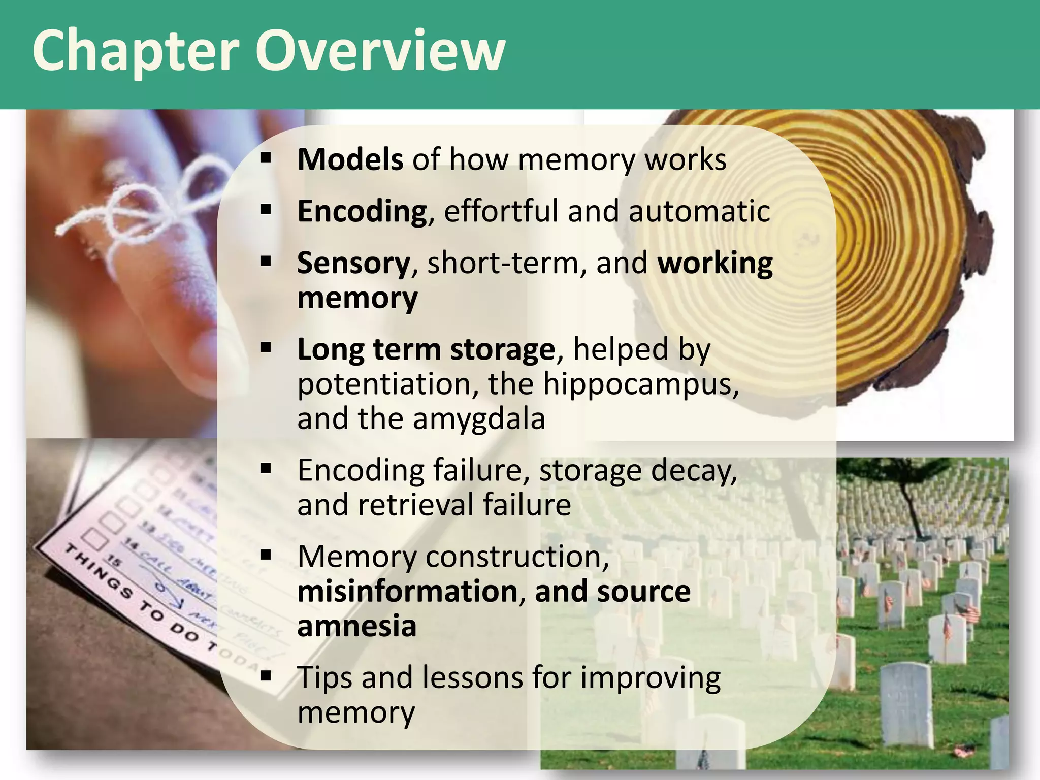 Chapter Overview
 Models of how memory works
 Encoding, effortful and automatic
 Sensory, short-term, and working
memory
 Long term storage, helped by
potentiation, the hippocampus,
and the amygdala
 Encoding failure, storage decay,
and retrieval failure
 Memory construction,
misinformation, and source
amnesia
 Tips and lessons for improving
memory

 