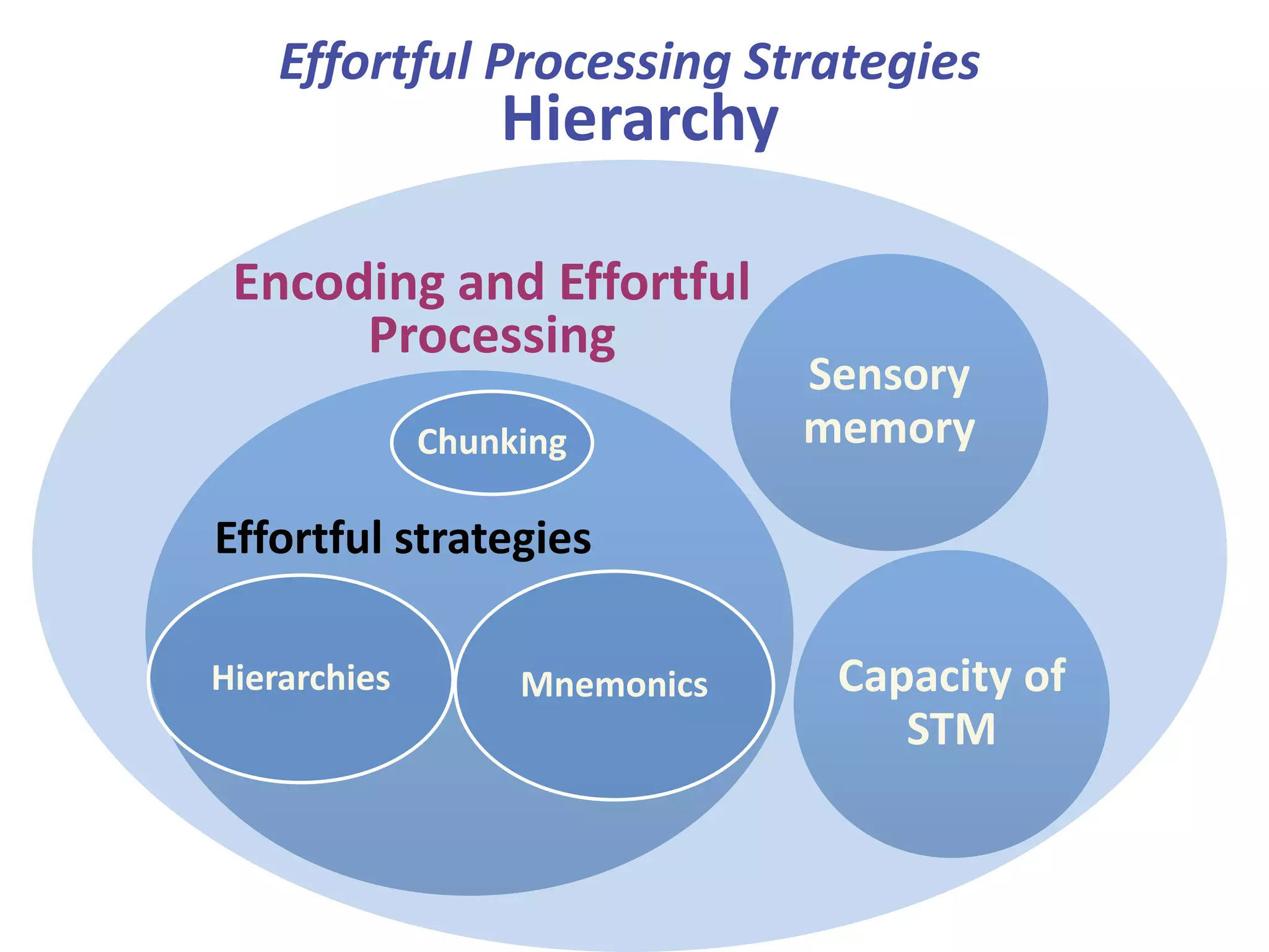 Effortful Processing Strategies

Hierarchy

Encoding and Effortful
Processing
Chunking

Sensory
memory

Effortful strategies
Hierarchies

Mnemonics

Capacity of
STM

 