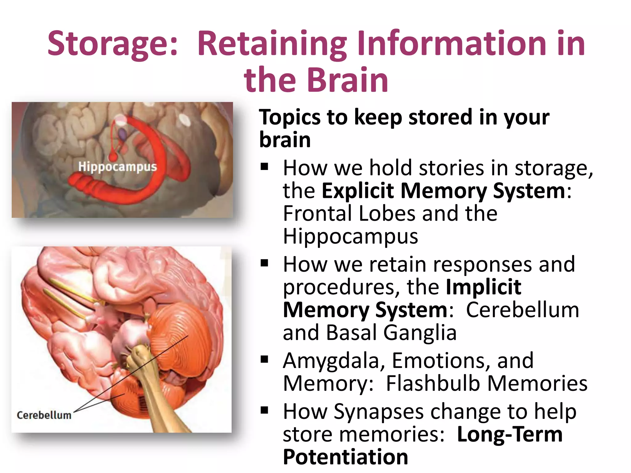 Storage: Retaining Information in
the Brain
Topics to keep stored in your
brain
 How we hold stories in storage,
the Explicit Memory System:
Frontal Lobes and the
Hippocampus
 How we retain responses and
procedures, the Implicit
Memory System: Cerebellum
and Basal Ganglia
 Amygdala, Emotions, and
Memory: Flashbulb Memories
 How Synapses change to help
store memories: Long-Term
Potentiation

 
