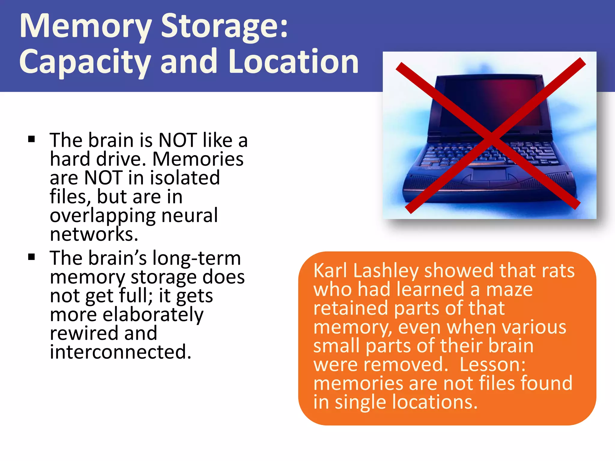 Memory Storage:
Capacity and Location
 The brain is NOT like a
hard drive. Memories
are NOT in isolated
files, but are in
overlapping neural
networks.
 The brain’s long-term
memory storage does
not get full; it gets
more elaborately
rewired and
interconnected.

Karl Lashley showed that rats
who had learned a maze
retained parts of that
memory, even when various
small parts of their brain
were removed. Lesson:
memories are not files found
in single locations.

 