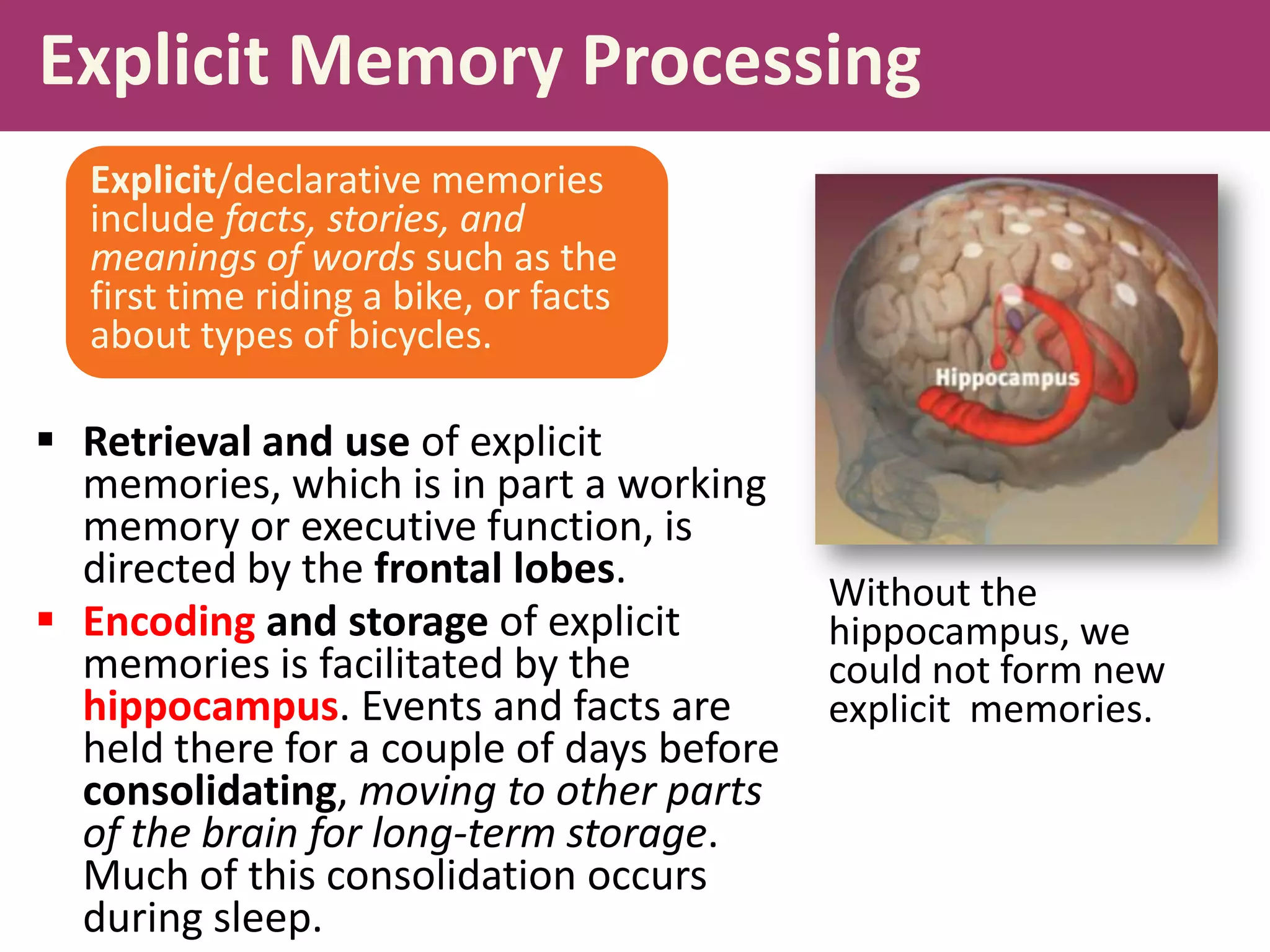 Explicit Memory Processing
Explicit/declarative memories
include facts, stories, and
meanings of words such as the
first time riding a bike, or facts
about types of bicycles.

 Retrieval and use of explicit
memories, which is in part a working
memory or executive function, is
directed by the frontal lobes.
 Encoding and storage of explicit
memories is facilitated by the
hippocampus. Events and facts are
held there for a couple of days before
consolidating, moving to other parts
of the brain for long-term storage.
Much of this consolidation occurs
during sleep.

Without the
hippocampus, we
could not form new
explicit memories.

 