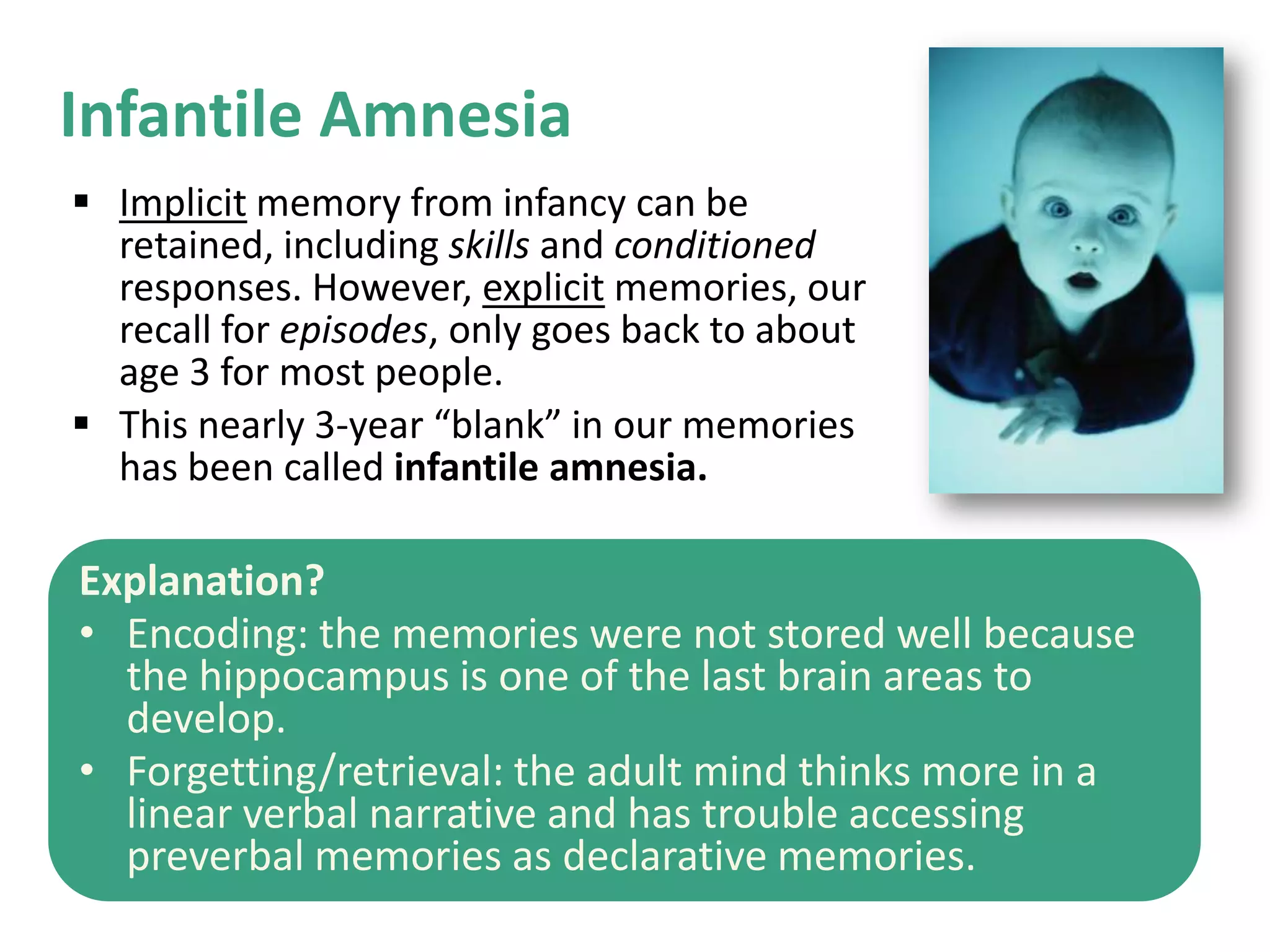 Infantile Amnesia
 Implicit memory from infancy can be
retained, including skills and conditioned
responses. However, explicit memories, our
recall for episodes, only goes back to about
age 3 for most people.
 This nearly 3-year “blank” in our memories
has been called infantile amnesia.

Explanation?
• Encoding: the memories were not stored well because
the hippocampus is one of the last brain areas to
develop.
• Forgetting/retrieval: the adult mind thinks more in a
linear verbal narrative and has trouble accessing
preverbal memories as declarative memories.

 