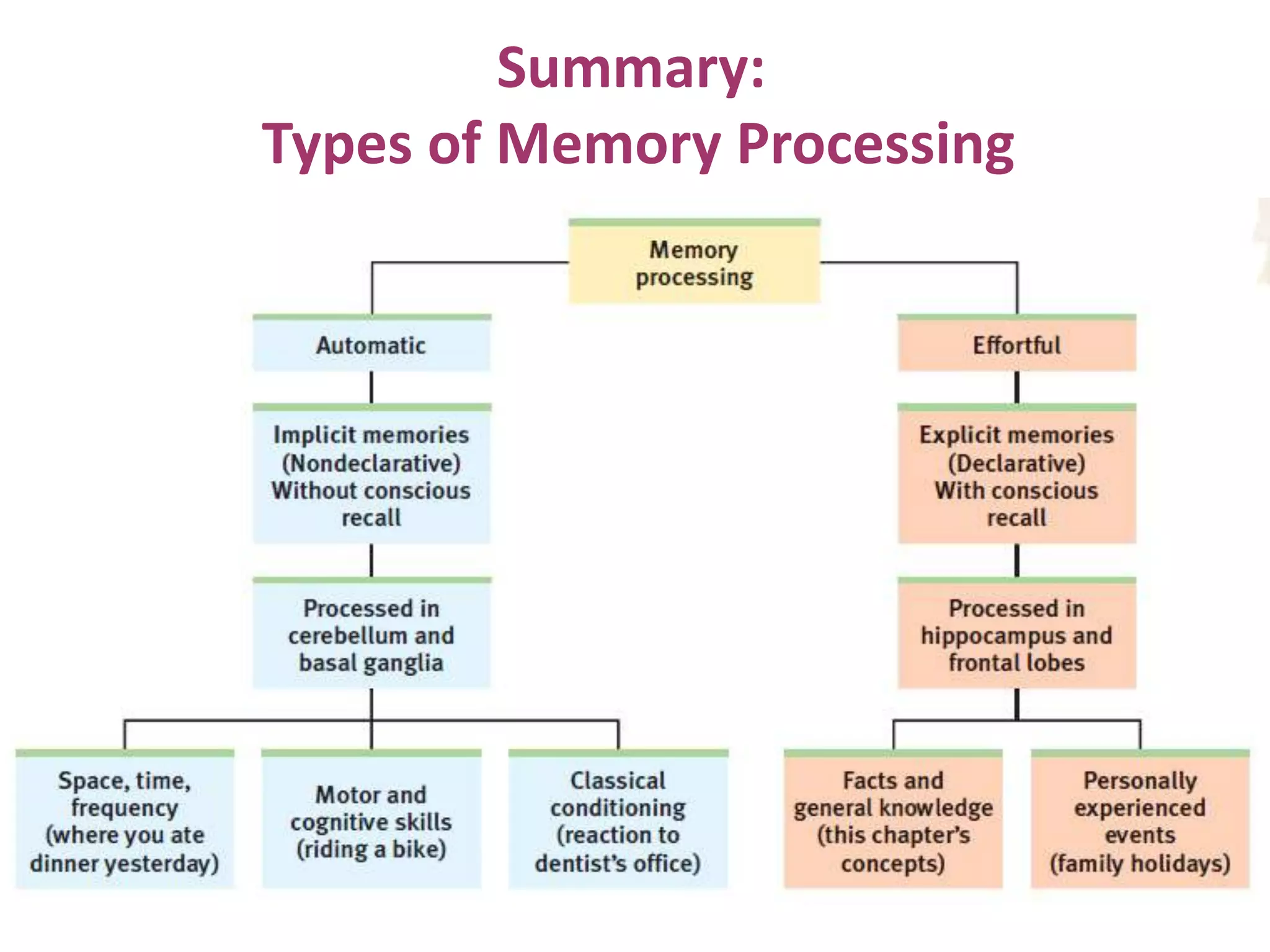 Summary:
Types of Memory Processing

 